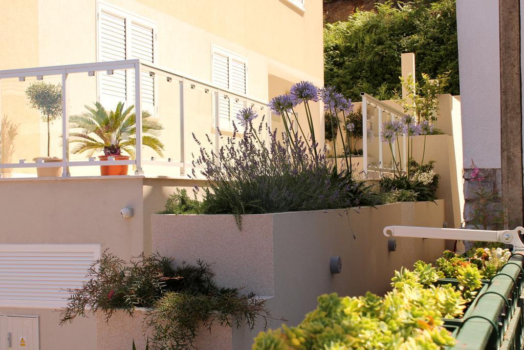 Apartments Lavanda Budva Exterior photo