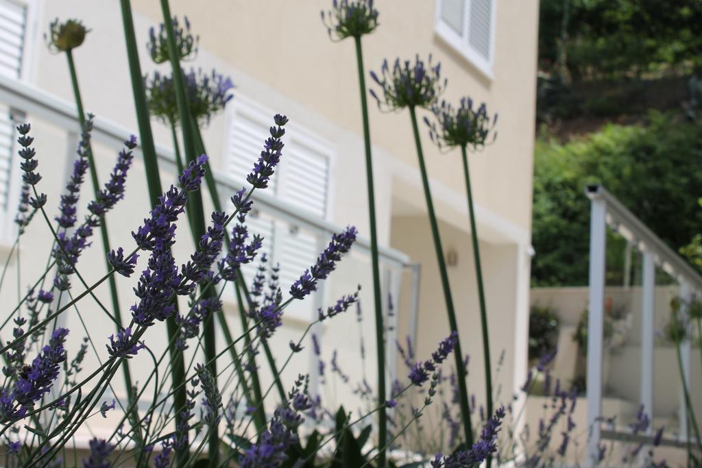 Apartments Lavanda Budva Exterior photo